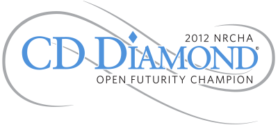 CD Diamond Logo
