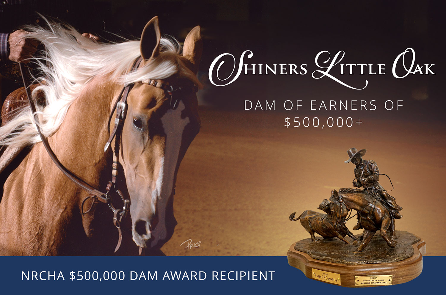 Shiners Little Oak Hero Image
