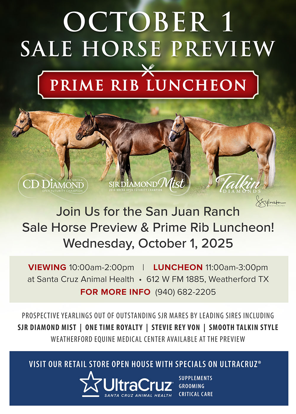 Sale Horse Preview