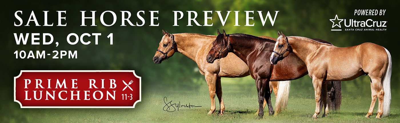 Preview Sale Banner