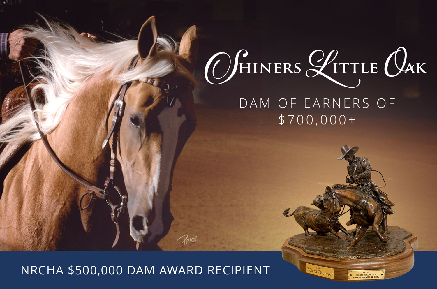 Shiners Little Oak Hero Image